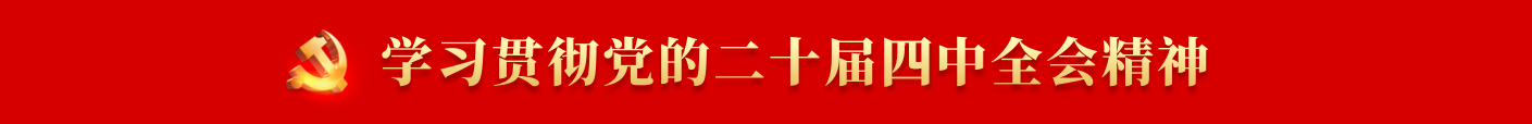 学习贯彻党的二十届四中全会精神